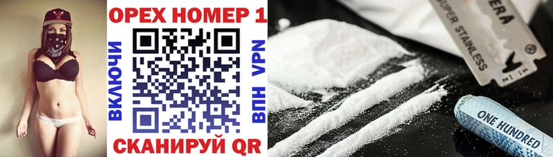 Cocaine Fish Scale  купить  сайты  Мураши 