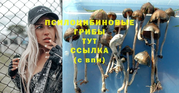 МДПВ Богданович