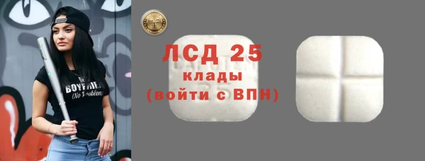 сатива Богородицк