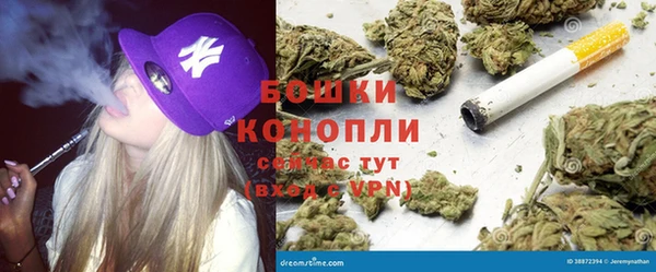 spice Бронницы